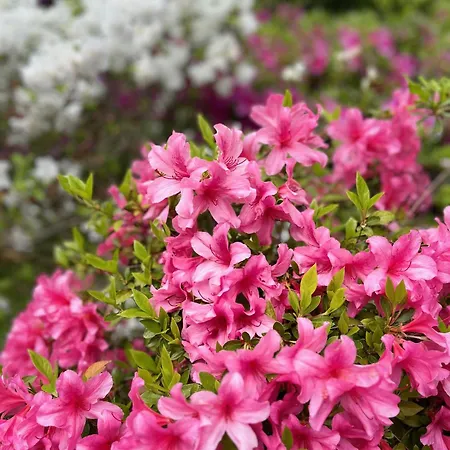 Appartamento Casa Castellana 1 E Casa Castellana 2