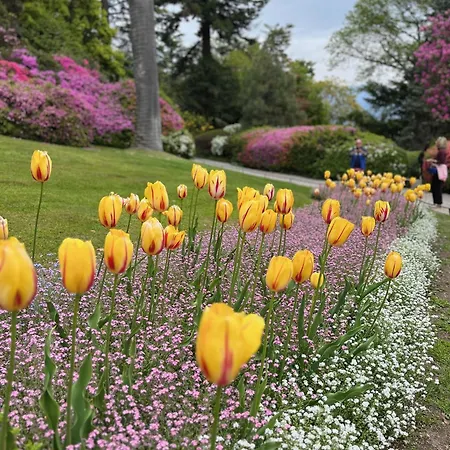 Casa Castellana 1 E Casa Castellana 2 Sala Comacina