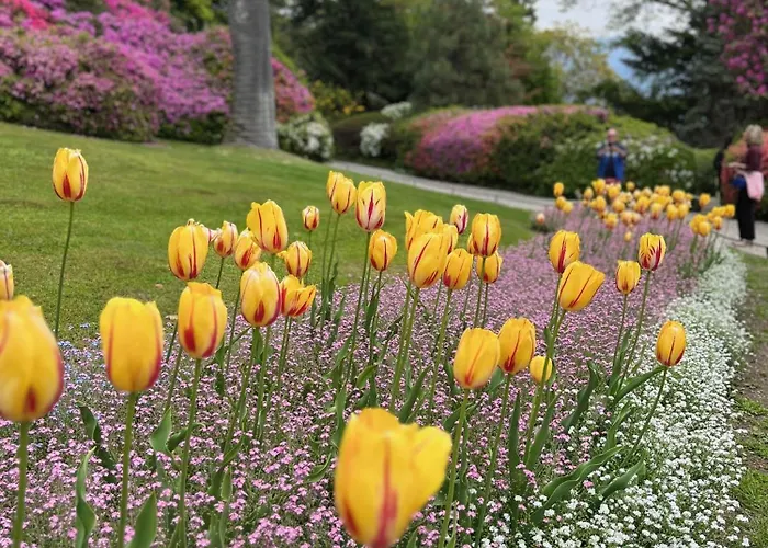 Casa Castellana 1 E Casa Castellana 2 Sala Comacina